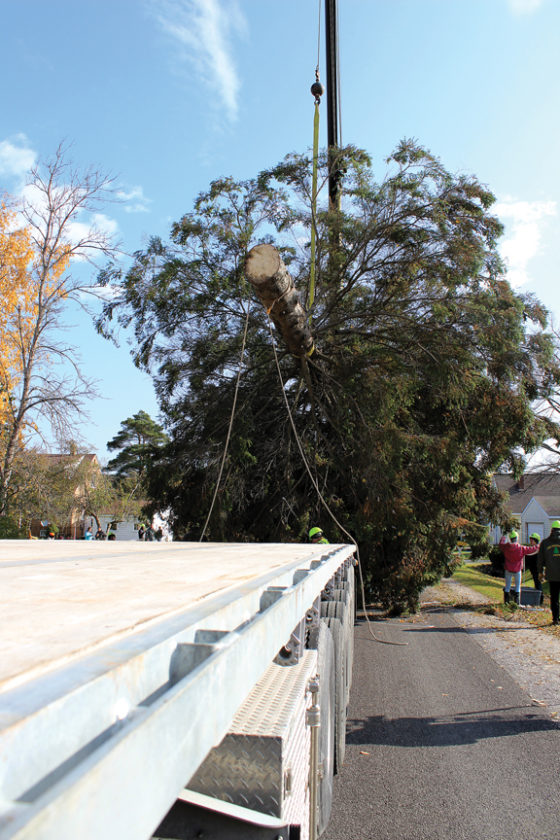Timber! News, Sports, Jobs The Alpena News